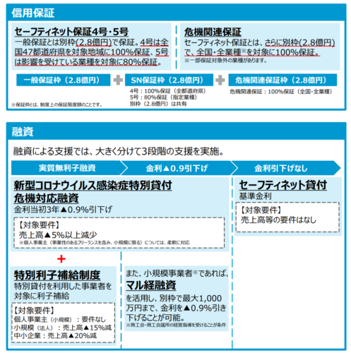 政府による資金繰りの支援のまとめ図